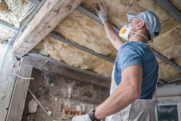 Professional Insulation Contractor in Byron, IL
